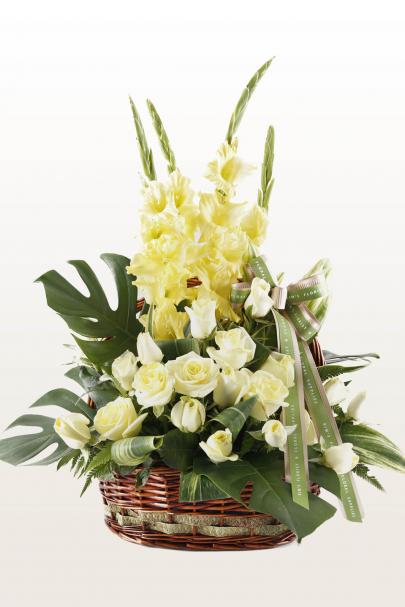 Maximus Gladiolus