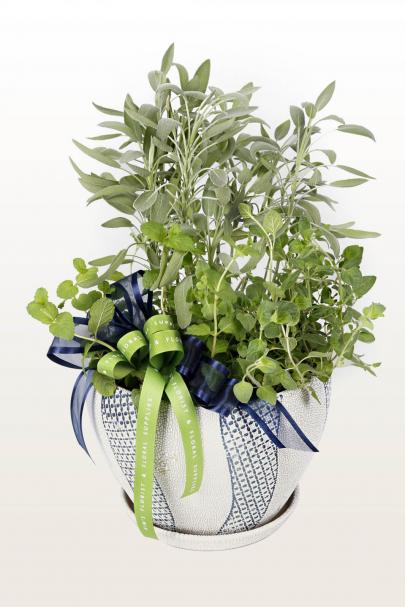 The Herb Garden