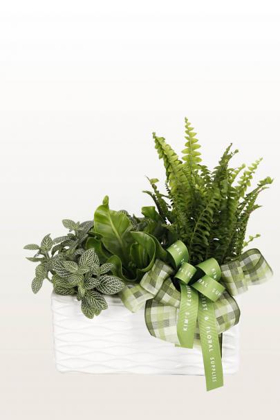 Plantasia