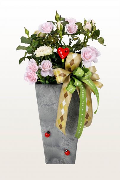 Buds & Blooms