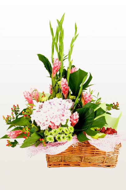 Pink Of Health