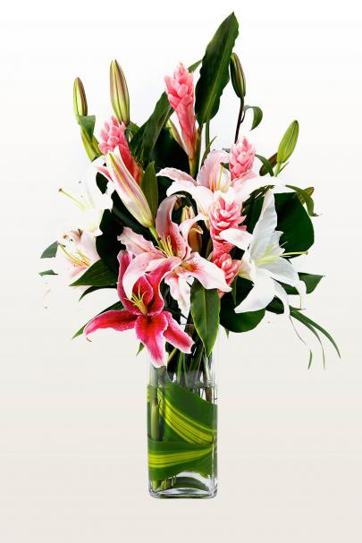 Lily Of The Orient
