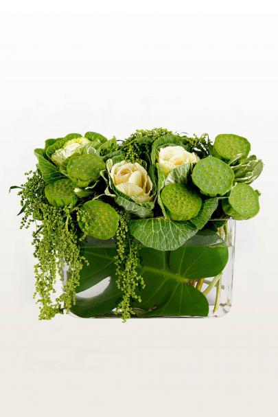 Greenies