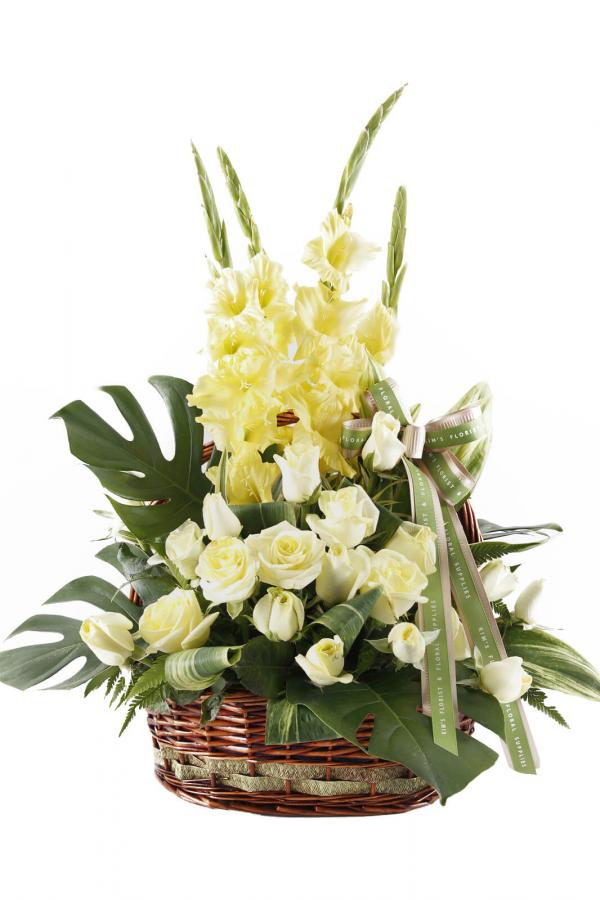 Maximus Gladiolus