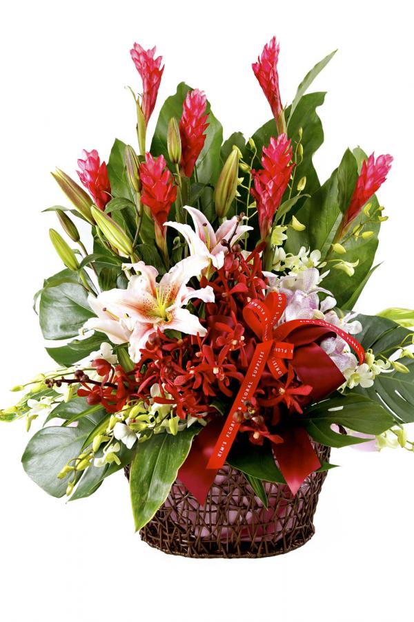 Tropical Delights