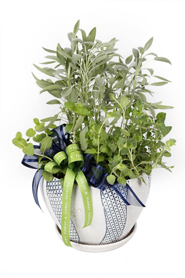 The Herb Garden