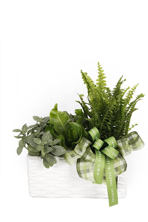 Plantasia