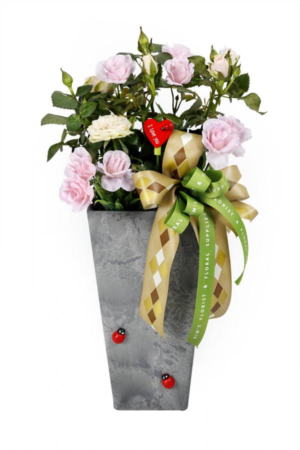 Buds & Blooms