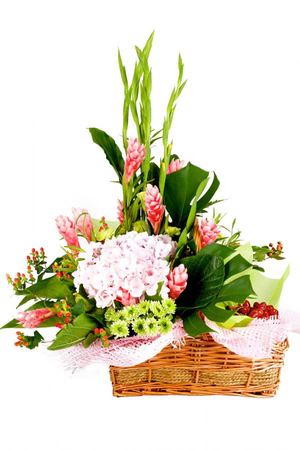 Pink Of Health