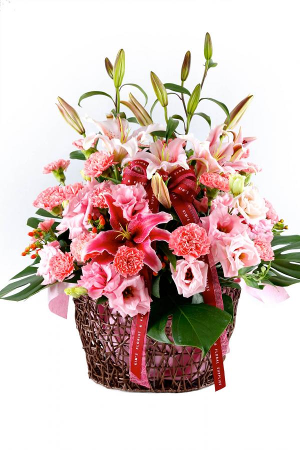 Assortment Of Pink