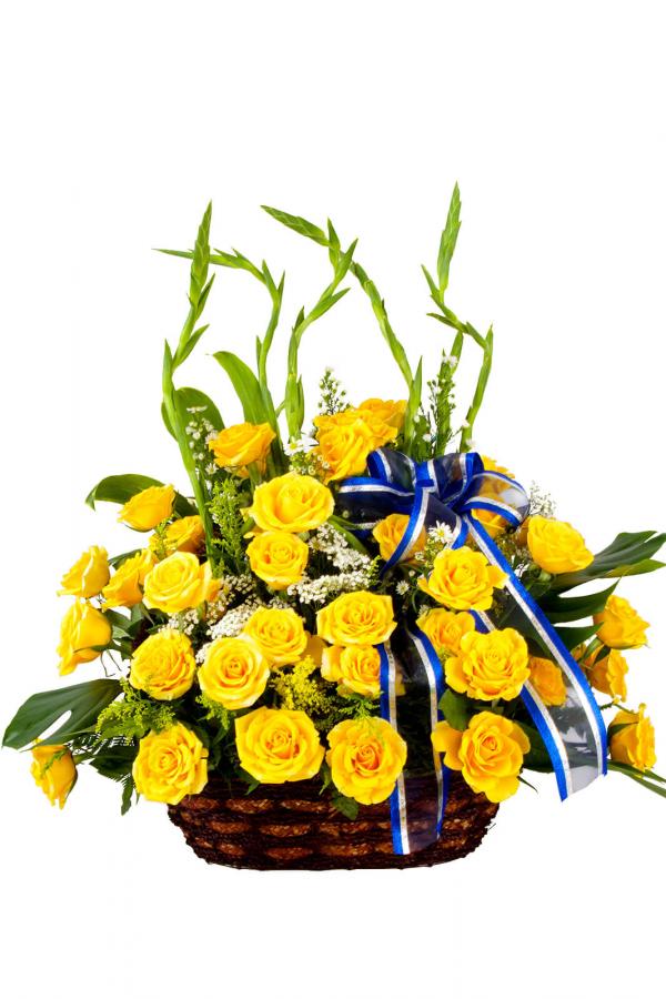 Yellow Fever