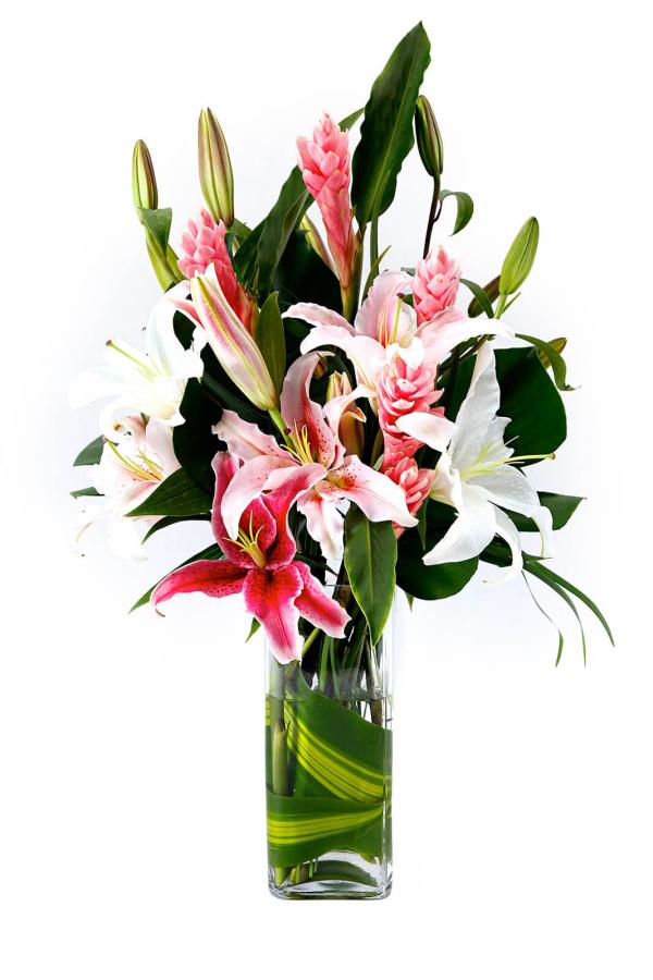 Lily Of The Orient